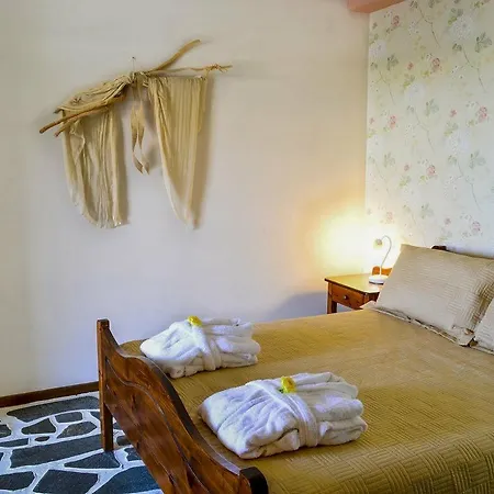 Hotel Amaryllis Hotel